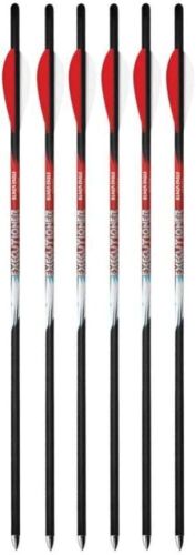 Lot of (2) Black Eagle Executioner Crossbow Fletched Carbon Arrows/Bolts, 6 Pack  - Lot 298