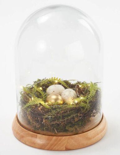 Lot of (2) Martha Stewart Illuminated Spring Nest Cloche - Lot 698