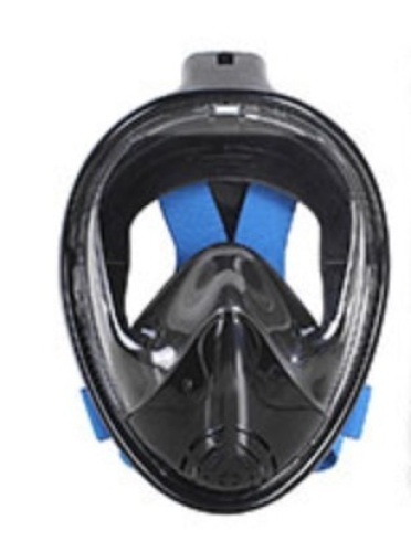 Tech Dolphin One Piece Snorkelling System, L/XL, Appears New - Lot 43