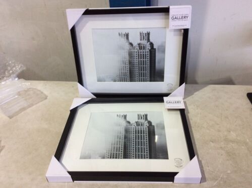 Lot of (2) Black Picture Frames, 16" x 20" Matted to 11" x 14"  - Lot 366