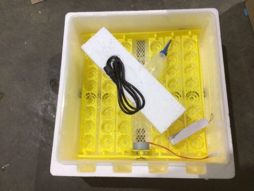 Egg Incubator  - Lot 616