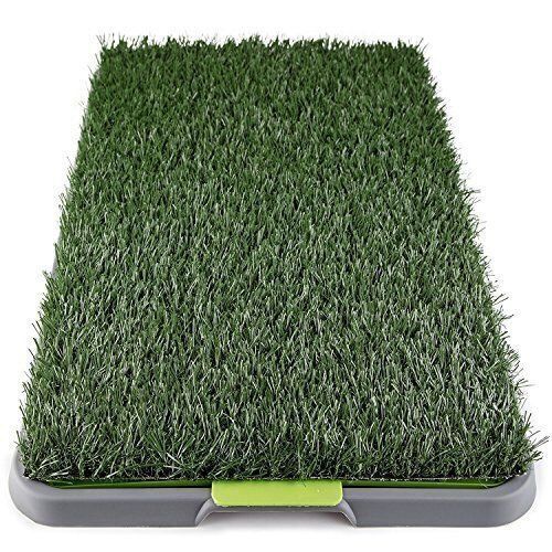 Paws & Pals Artificial Grass Potty Pad with Tray - Lot 1002