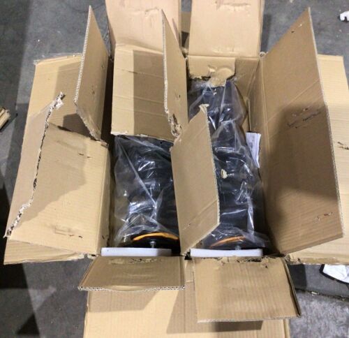 Complete Strut Assembly, Unknown Fit  - Lot 267
