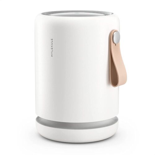 Molekule Air Mini+ Medical Air Purifier with Particle Sensor and PECO Technology, 250 sq. ft. - Lot 369