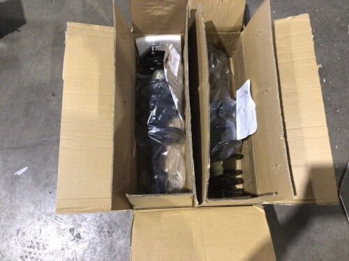 Set of 2 Strut Assemblies, Unknown Fit  - Lot 445