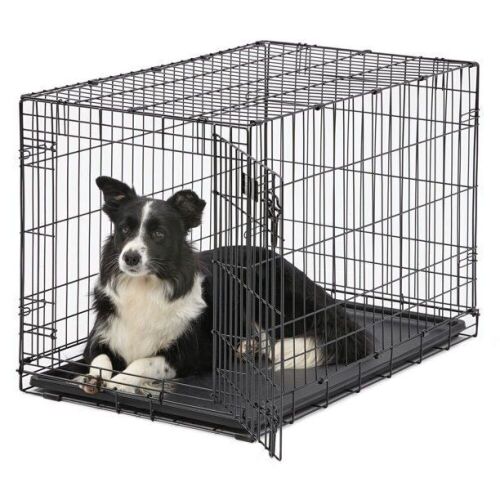 MidWest Single Door iCrate Metal Dog Crate, 36" - Lot 520