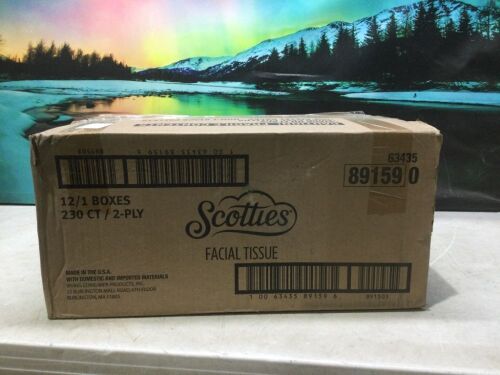 Scotties Facial Tissue, 12 Boxes - Lot 570