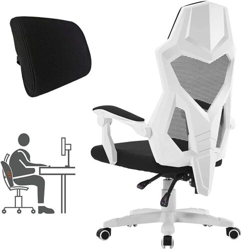 HOMEFUN Ergonomic High Back Executive Office Chair with Lumbar Support  - Lot 388
