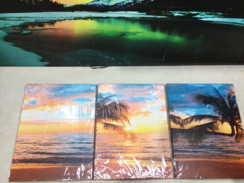 3 Piece Palm Tree Ocean Canvas Wall Art, 12" x 16"  - Lot 1055