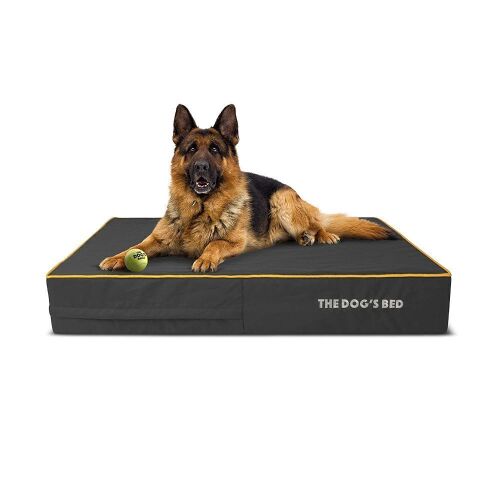 Large Dog Bed  - Lot 777