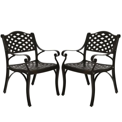 Elecwish Cast Aluminum Outdoor Bistro Dining Chairs, Set of 2 - Lot 271