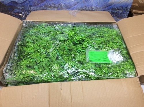 Faux Foliage Panels, 4 Ct, 16" x 24" - Appear New  - Lot 728