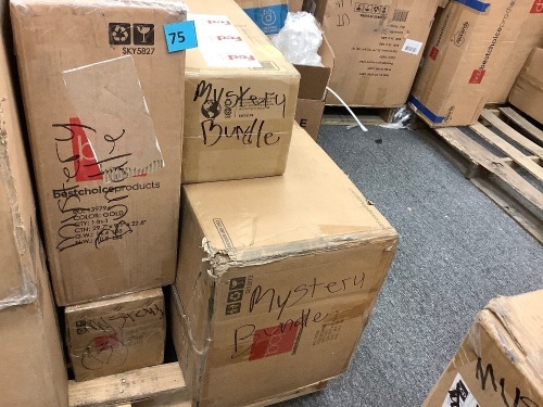 Lot of (4) BCP Mystery Bundle - Lot 75