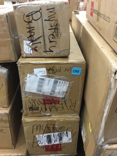 Lot of (4) BCP Mystery Bundle - Lot 290
