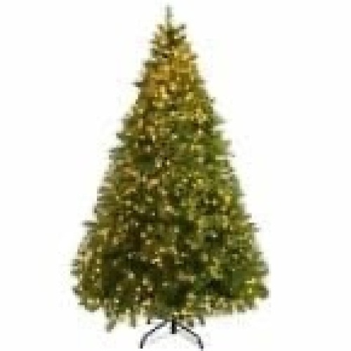 8 ft. Pre-Lit Dense PVC Christmas Tree Spruce Hinged with 880 LED Lights and Stand - Lot 343