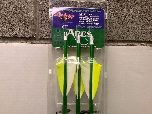 High Performance Youth Arrows, Some Feathers Damaged, Ecommerce Return - Lot 550