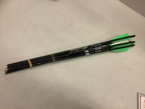 Lot of (5) Pile Driver Arrow, Ecommerce Return, Used - Lot 600