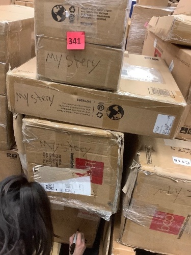 Lot of (4) Mystery Bundle - Lot 341