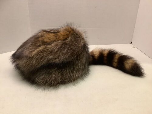 Crowncap Raccoon Hat, Appears New - Lot 20
