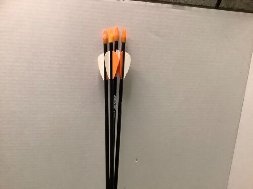 Lot of (4) Arrows, Ecommerce Return - Lot 749