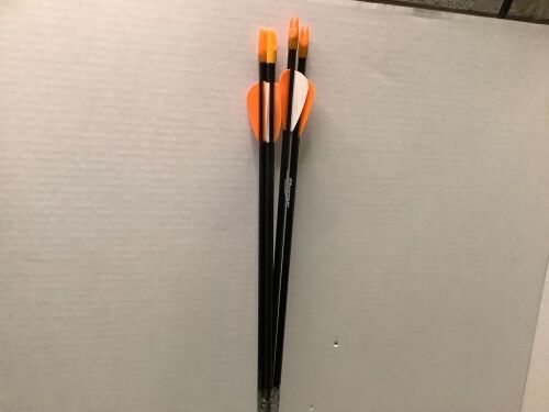 Lot of (4) Bear Arrows, Ecommerce Return - Lot 796