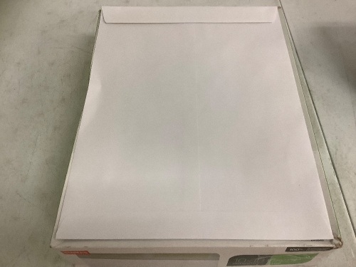 Staples 10x13 Gummed Envelopes, Appears New - Lot 440