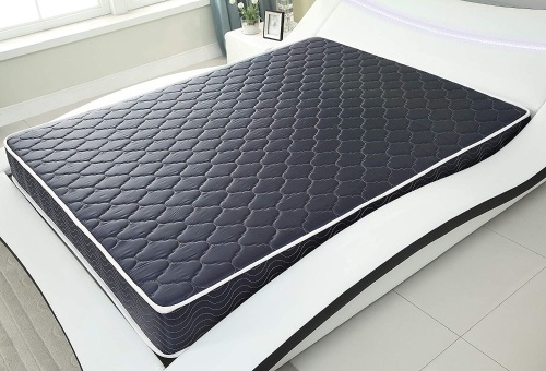 AC Pacific 6" Foam Mattress Covered in Navy Blue Waterproof Fabric, Twin - New   - Lot 340