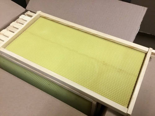 Mann Lake Case of (10) 9 1/8" Assembled Frames - With Natural Waxed Rite-Cell - Appear New  - Lot 443