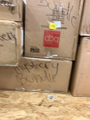 Lot of (4) BCP Mystery Bundle - Lot 179
