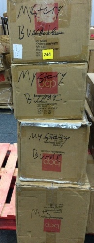 Lot of (4) BCP Mystery Bundle - Lot 244