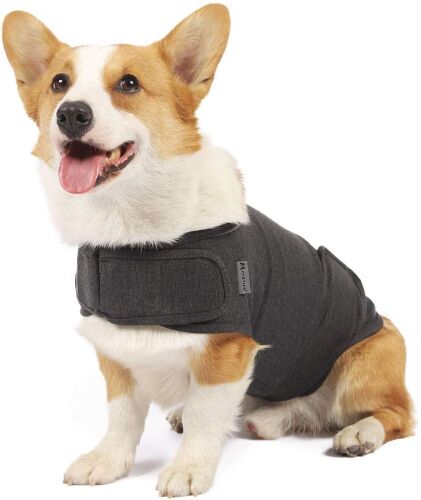 Lot of (50) Apetian Thunder Jacket Compression Wraps for Dogs, X-Small, Dark Grey  - Lot 700