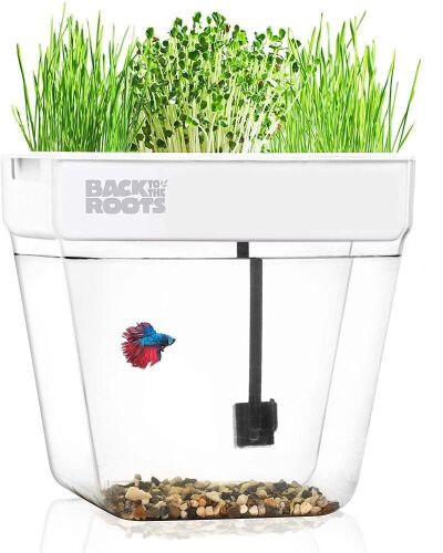 Back to the Roots Indoor Garden - Self Watering, Mess-Free Planter for Herbs, Microgreens, Bamboo, Succulents, and Houseplants - Lot 755