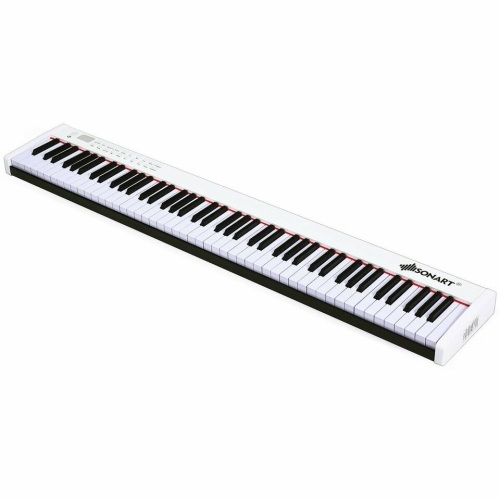 88-Key Portable Weighted Digital Piano With Bluetooth & Mp3 - Lot 1389
