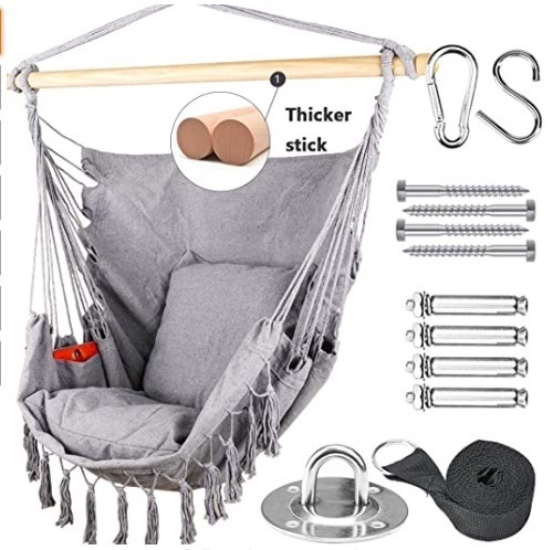 Grey Hammock Chair w/ 2 Pillows, Appears New - Lot 77