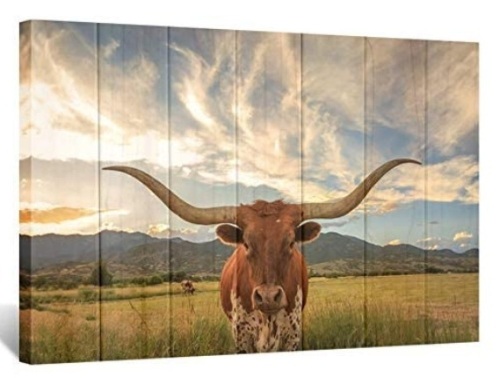 Texas Longhorn Canvas Print, Appears new - Lot 80