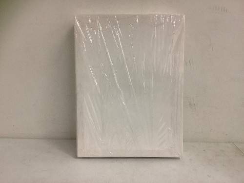5 Pack of 12x16" Canvases, Appears New - Lot 590