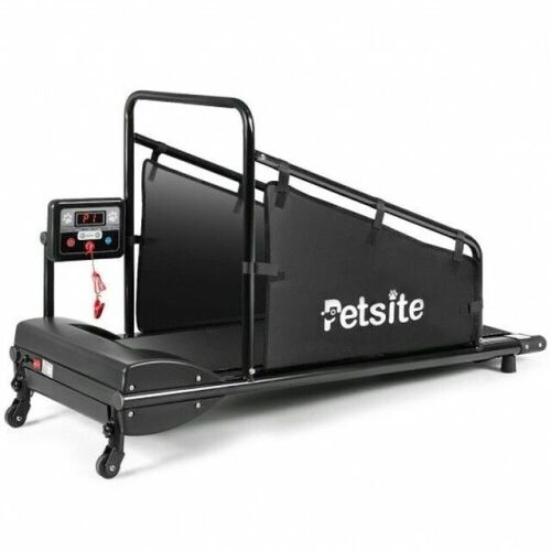 Indoor Pet Exercise Equipment with Remote Control - Lot 194