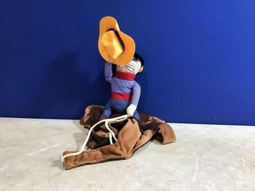 Cowboy Rider Pet Costume  - Lot 1073
