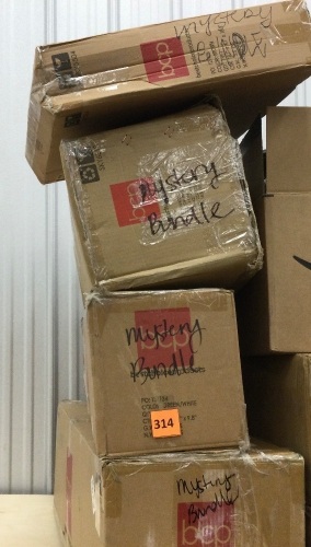 Lot of (4) BCP Mystery Bundle - Lot 314