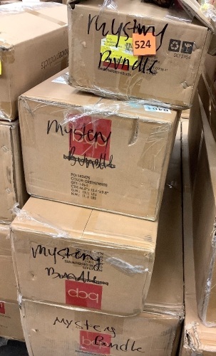 Lot of (4) BCP Mystery Bundle - Lot 524