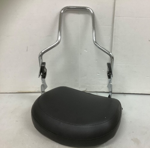 Ecotric Backrest Sissy Bar, Appears new - Lot 147