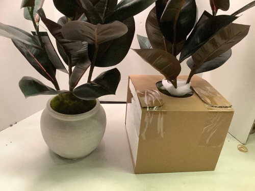 Lot of (2) Box of Decorative Plants, (2 per box), Appears New - Lot 956