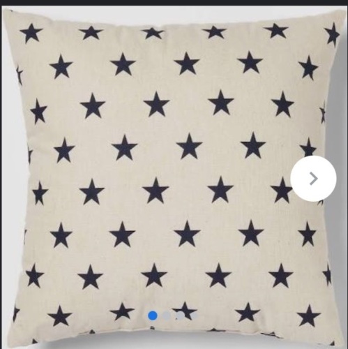 Lot of (2) Home Decor Pillows, Appears New - Lot 250