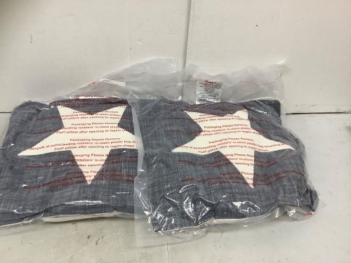 Lot of (2) Toss Pillows, New - Lot 314