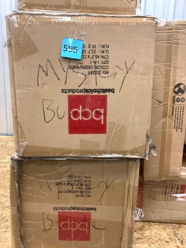 Lot of (4) BCP Mystery Bundle - Lot 596