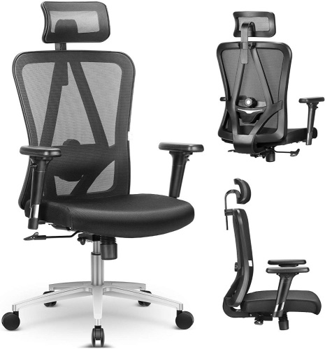 Ergonomic Mesh Office Chair w/ Lumbar Support - Lot 1960