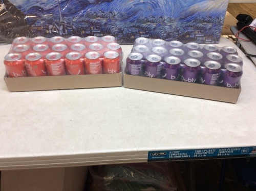 Lot of (2) 18 Pack Bubly Sparkling Water, 12 oz, Blackberry & Strawberry, Best By 07/12/21 - New - Lot 454
