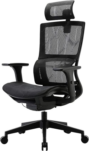 XUER Ergonomic Office Chair with Cozy Lumbar Support and Adjustable 3D Armrest, Mesh Seat and High Back - Appears New in Damaged Box   - Lot 659