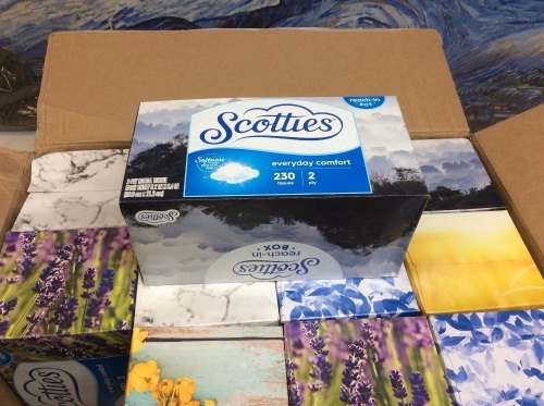 Scotties Reach-In Box Facial Tissues, 12 Boxes - New - Lot 885