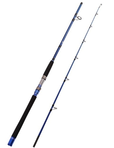Fiblink 2-Piece Saltwater Spinning Fishing Rod Offshore Graphite Portable Fishing Rod (7-Feet), Appears New - Lot 593